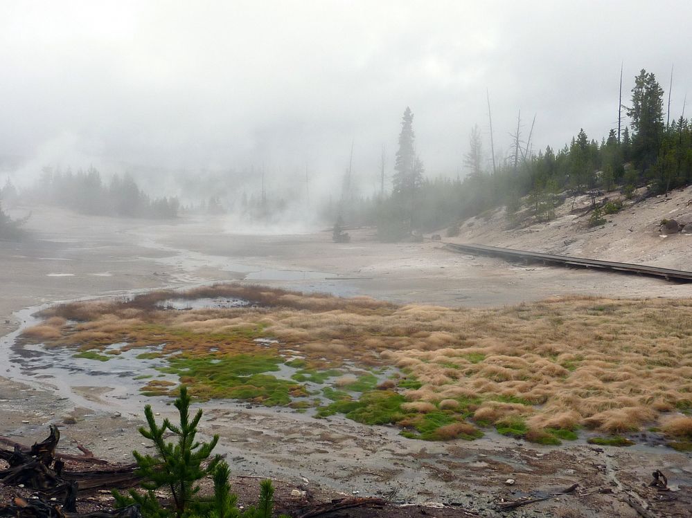Yellowstone Norris Geyser (50).JPG